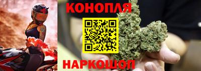 jwh Будённовск